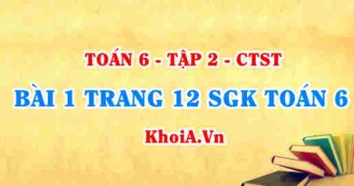 Bài 1 trang 12 SGK Toán 6 Tập 2 Chân trời sáng tạo